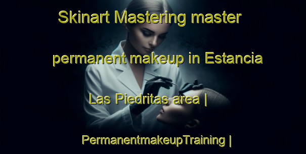 Skinart Mastering master permanent makeup in Estancia Las Piedritas area | PermanentmakeupTraining | PermanentmakeupClasses | SkinartTraining-Bolivia